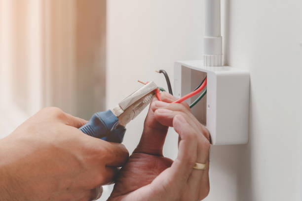 Best Electrical Remodeling Services  in Trempealeau, WI